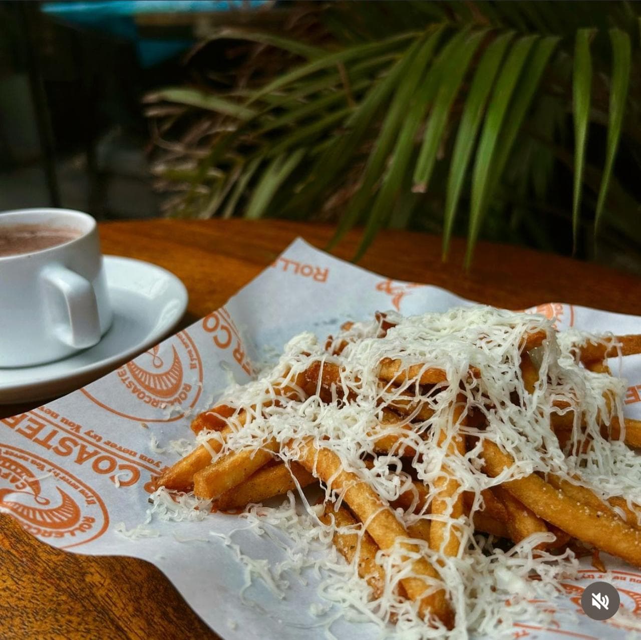 Roller Coaster Cafe - Piplod photo 2